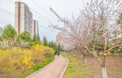 群力健康生态园春色（四月）