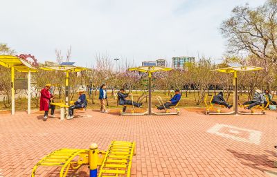 劳动公园春色 （四月）