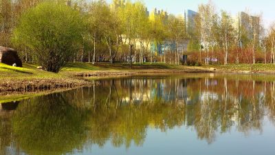 春季哈尔滨丁香公园