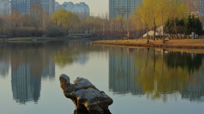 春季哈尔滨丁香公园