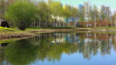 春季哈尔滨丁香公园