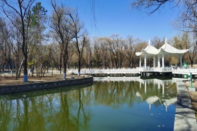 春的气息初春太阳岛公园
