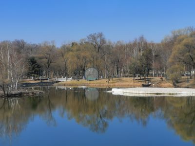 春的气息初春太阳岛公园