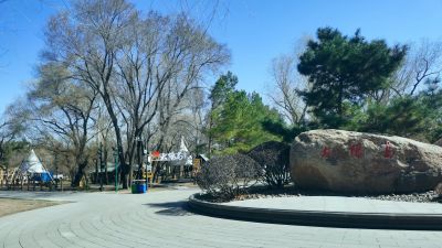 春的气息初春太阳岛公园