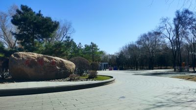 春的气息初春太阳岛公园