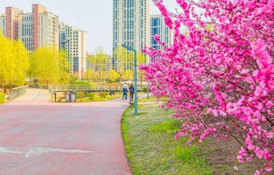 春天的松溪公园