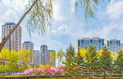 春天的松溪公园