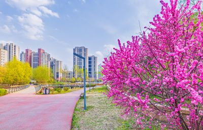 春天的松溪公园