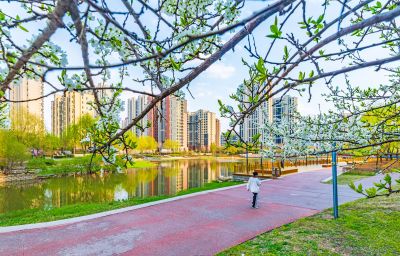 春天的松溪公园