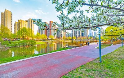 春天的松溪公园