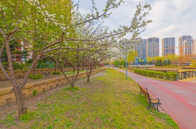 春天的松溪公园