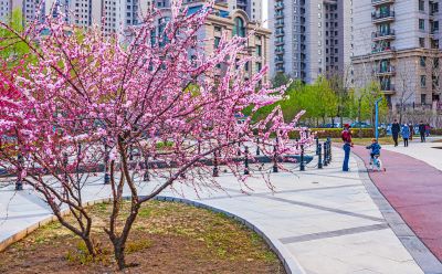 春天的松溪公园