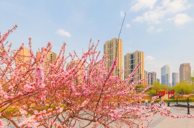 春天的松溪公园