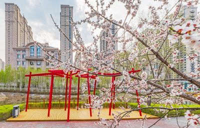 春天的松溪公园