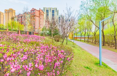 春天的松溪公园