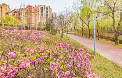 春天的松溪公园