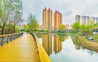 春天的松溪公园春花开放