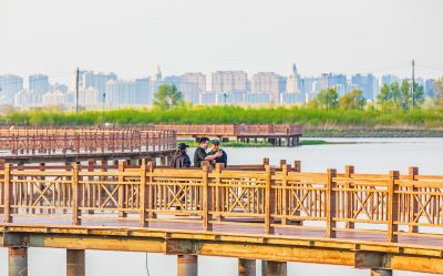 外滩湿地春色 