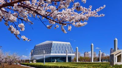 2025年4月24日春天 哈尔滨音乐厅杏花开放