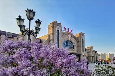 2025年5月10日丁香花开
