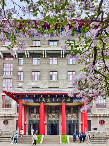 2025年5月16日工程大学丁香花开