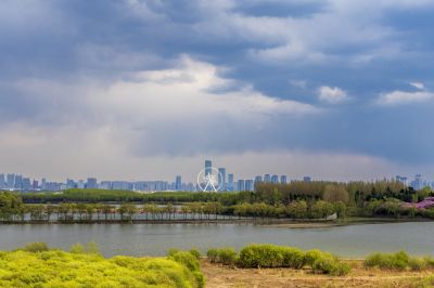 城市风光松花江湿地