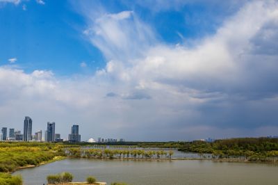城市风光松花江湿地