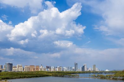 城市风光松花江湿地