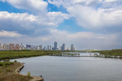 城市风光松花江湿地