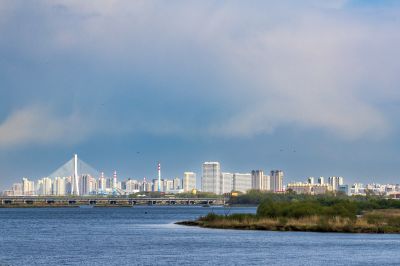 城市风光松花江湿地