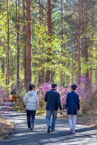 省森林植物园开园
