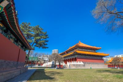 春季哈尔滨文庙