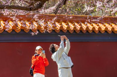 文庙探春