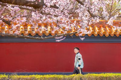 文庙探春
