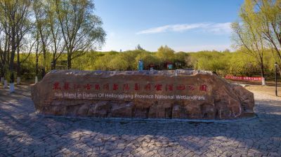 哈尔滨太阳岛国家湿地公园一湖三岛春花榆叶梅盛开