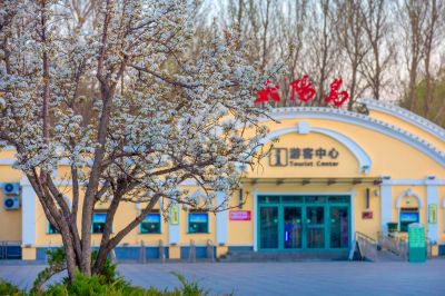 太阳岛的春天 