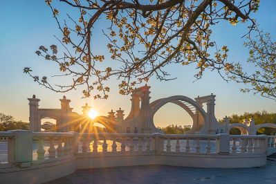 太阳岛的春天 