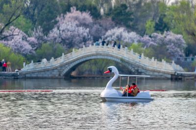 太阳岛的春天 