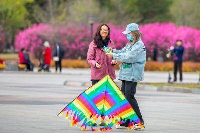 市政府广场春华盛开
