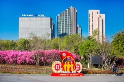 市政府广场春华盛开