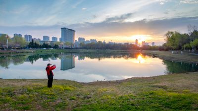 市政府广场春华盛开