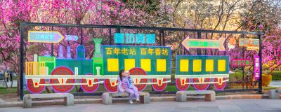 榆叶梅春花盛开的香坊火车站 