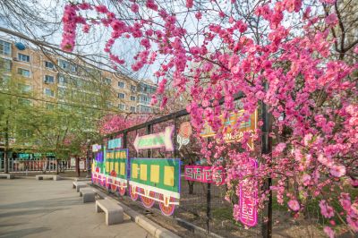 榆叶梅春花盛开的香坊火车站 