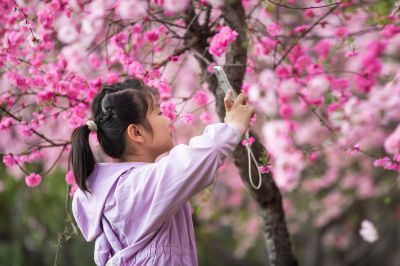 榆叶梅盛开的香坊火车站