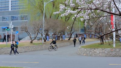 哈尔滨工程大学山杏花盛开