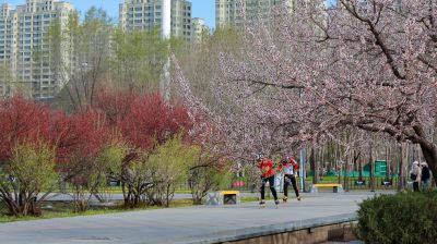 金河公园花开季