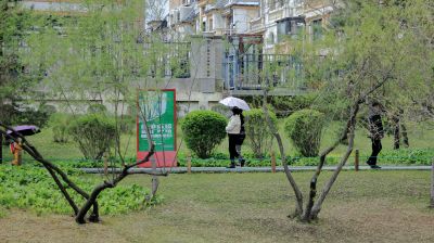 雨中雨阳公园