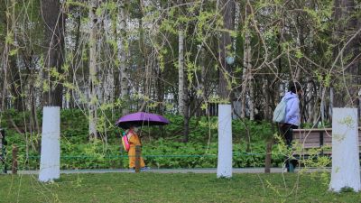 雨中雨阳公园