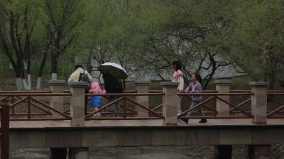 雨中雨阳公园