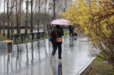 雨中雨阳公园